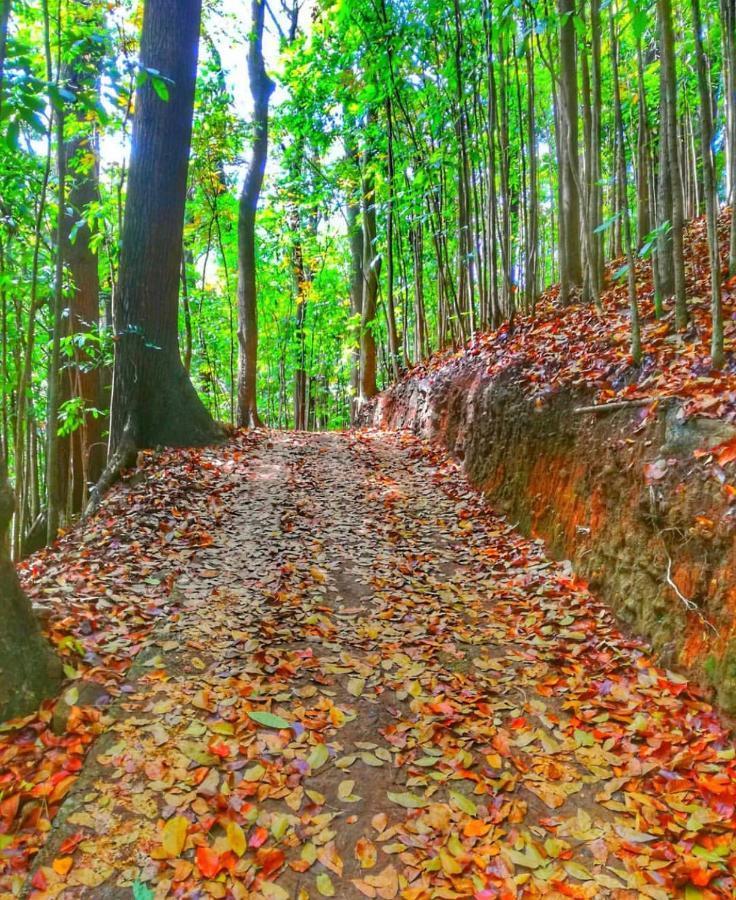 Boo Kirinda Holiday Resort Badulla Kültér fotó